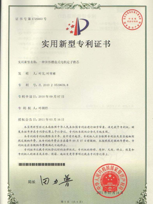 一種異形槽盤式電機(jī)定子鐵芯.png